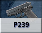 P239 Conceal Carry Handgun